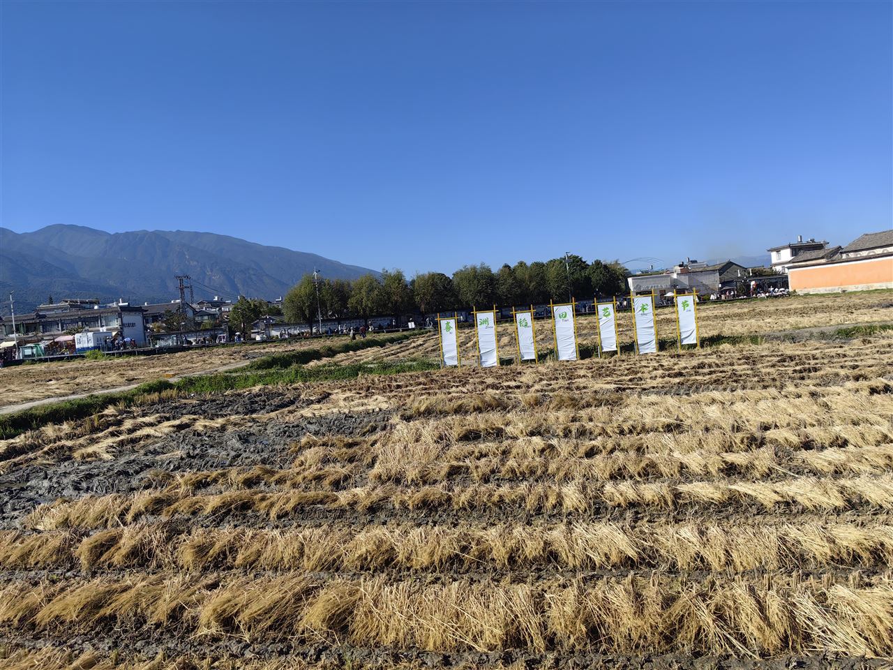 廊坊市：小麦精准化管理保丰收