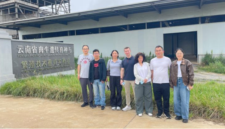 云南省肉牛遗传育种与繁殖技术重点实验室开展肉牛胚胎生产专题交流与现场技术指导